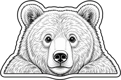 Bear animal decal